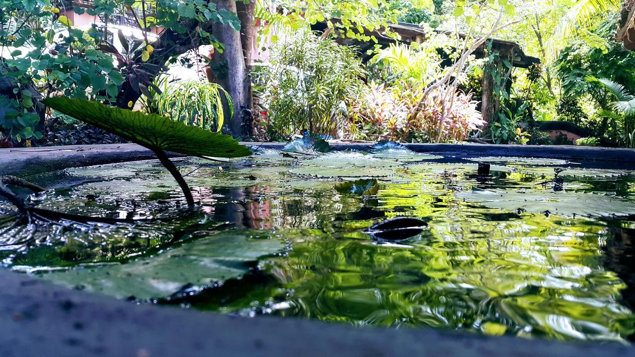 Casa Hotel Mare Nostrvm Nationalpark Nationalpark Manuel Antonio Exterior foto